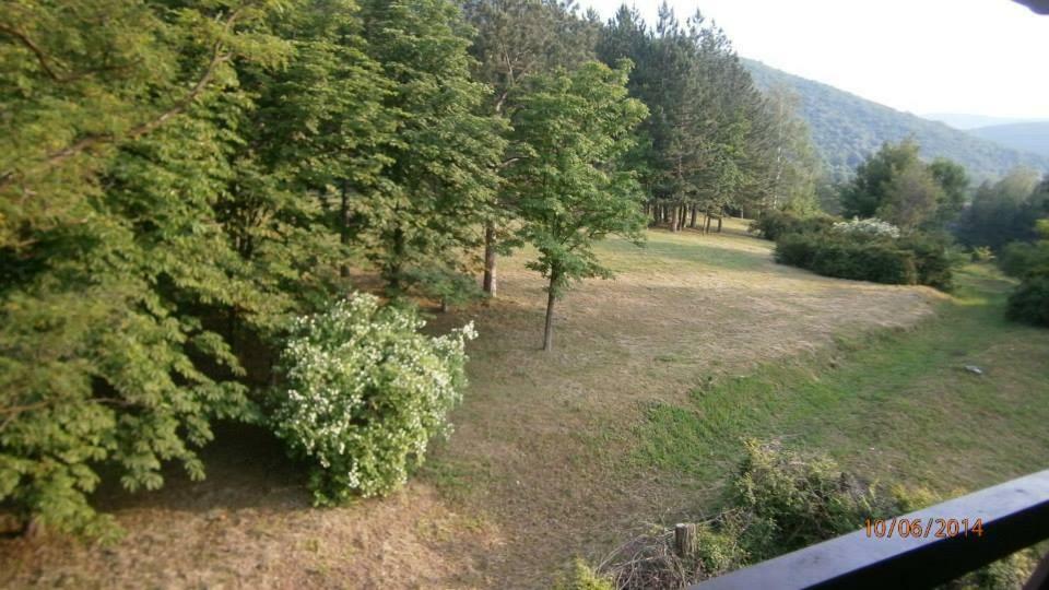 Vila Akademik A1 Sokobanja Kültér fotó