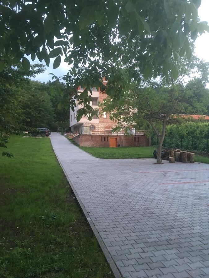Vila Akademik A1 Sokobanja Kültér fotó
